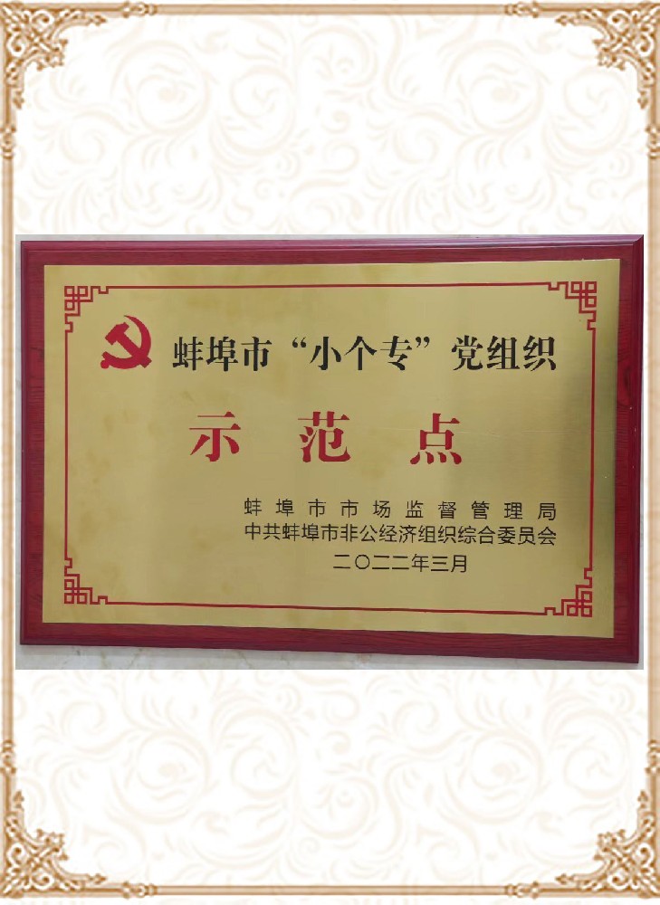 蚌埠市“小個專”黨組織示范點(diǎn)